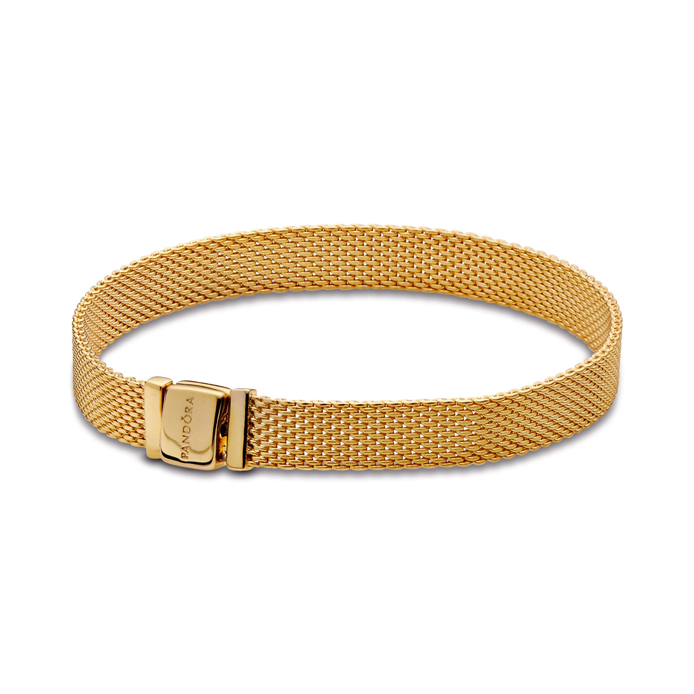Pandora Reflexions Mesh Bracelet