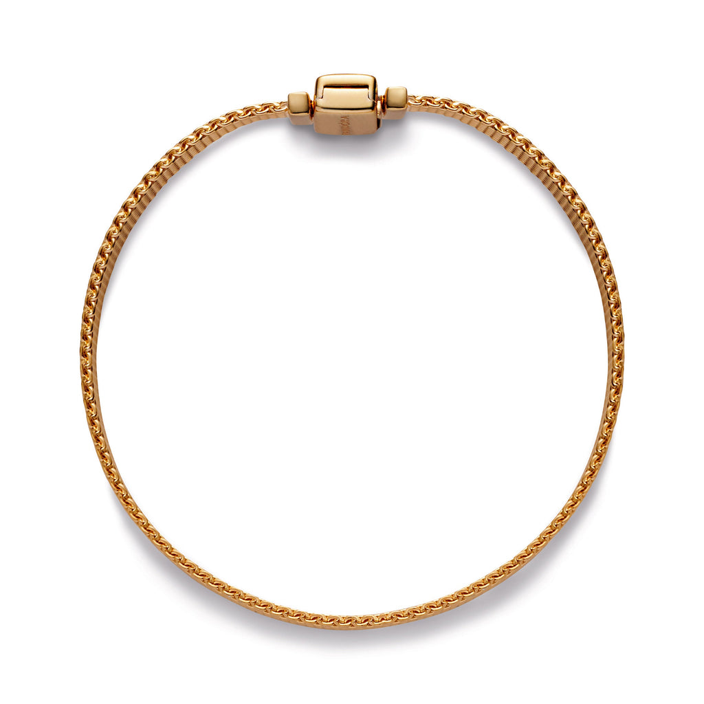 Pandora Reflexions Mesh Bracelet
