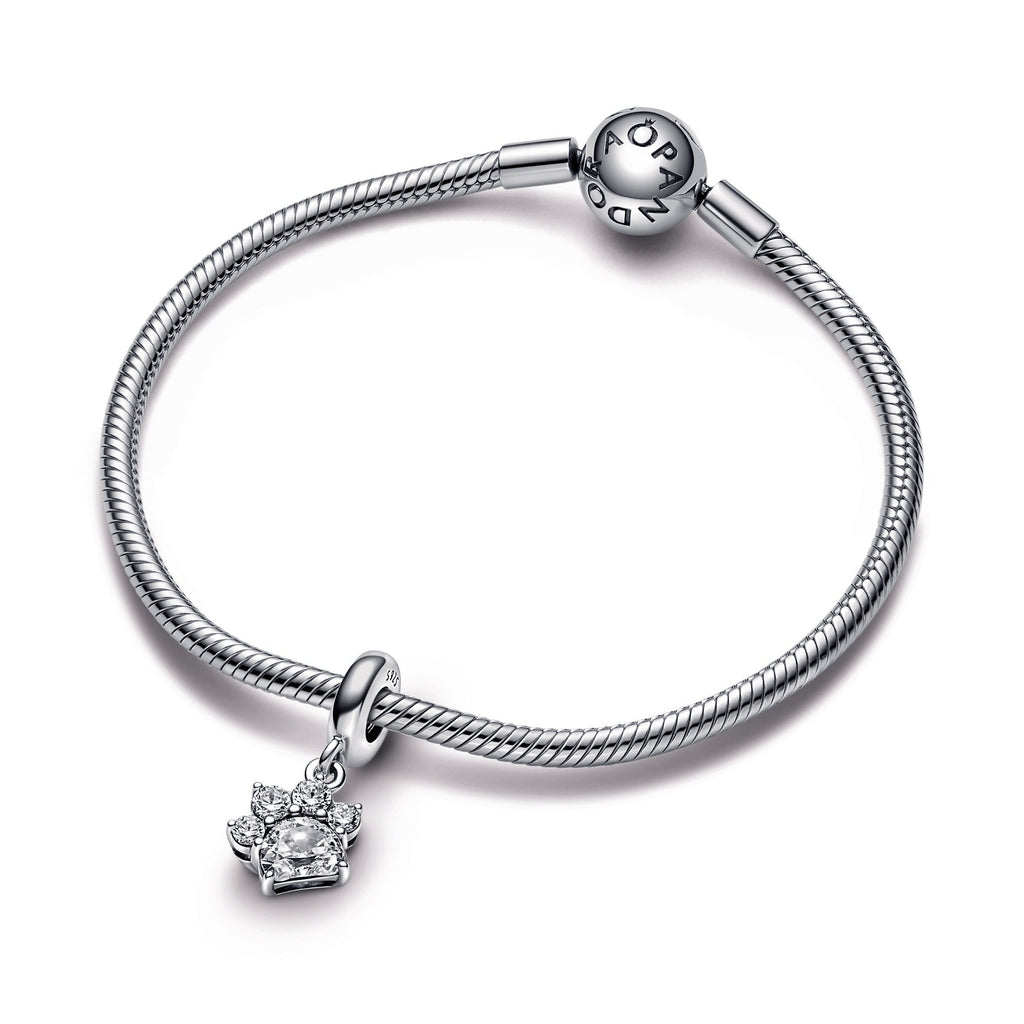 Sparkling Pet Paw Print Dangle Charm