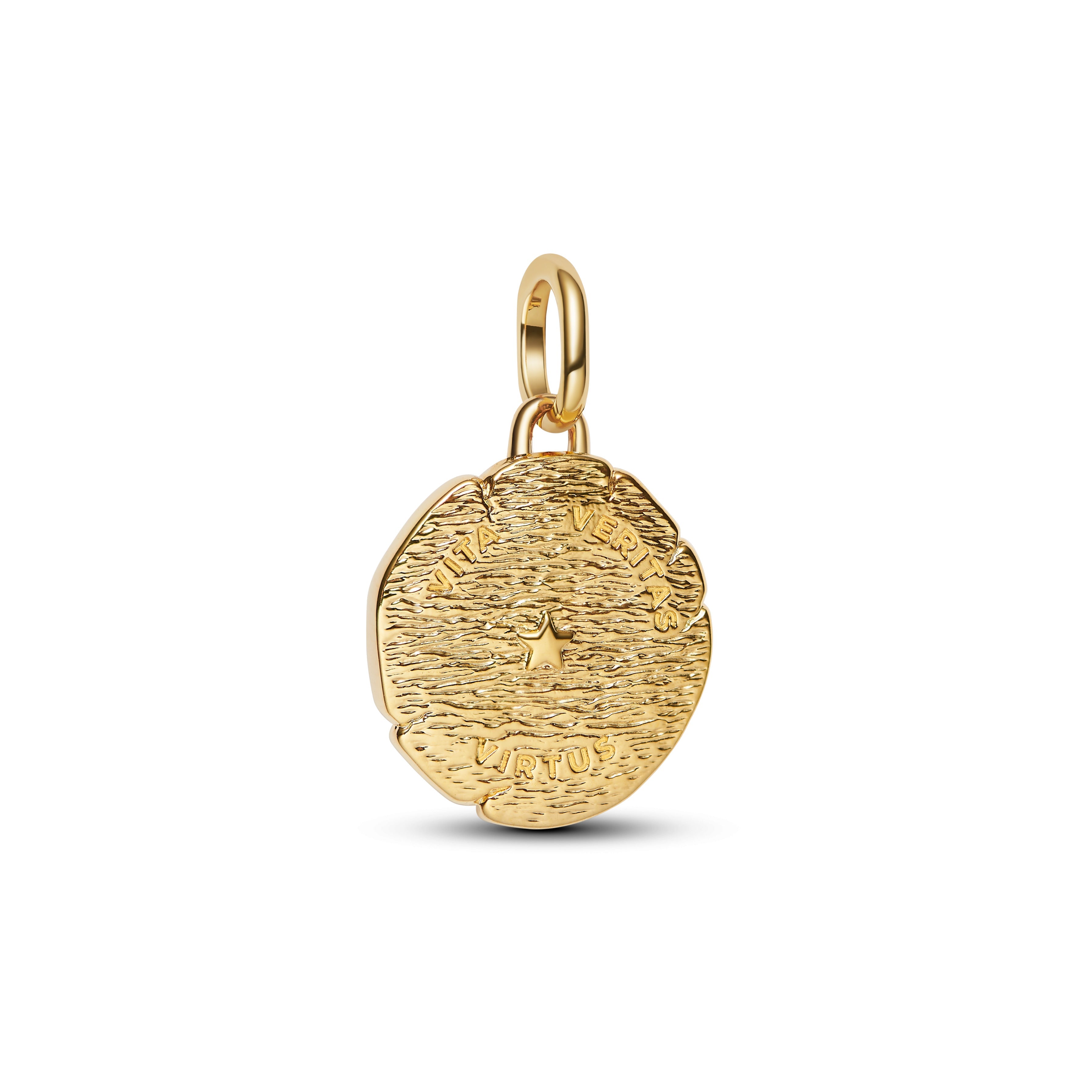 Lion Medallion Charm