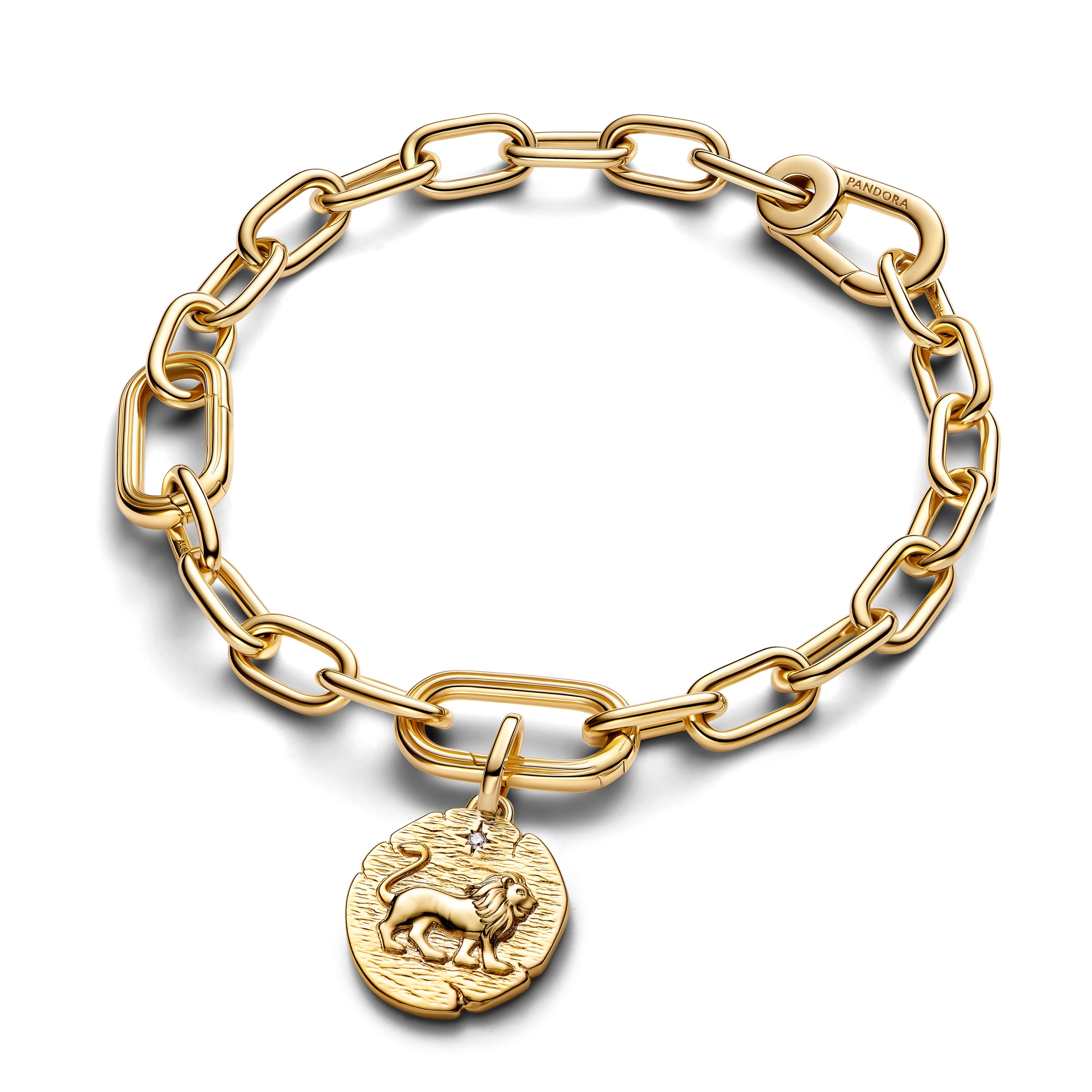Lion Medallion Charm