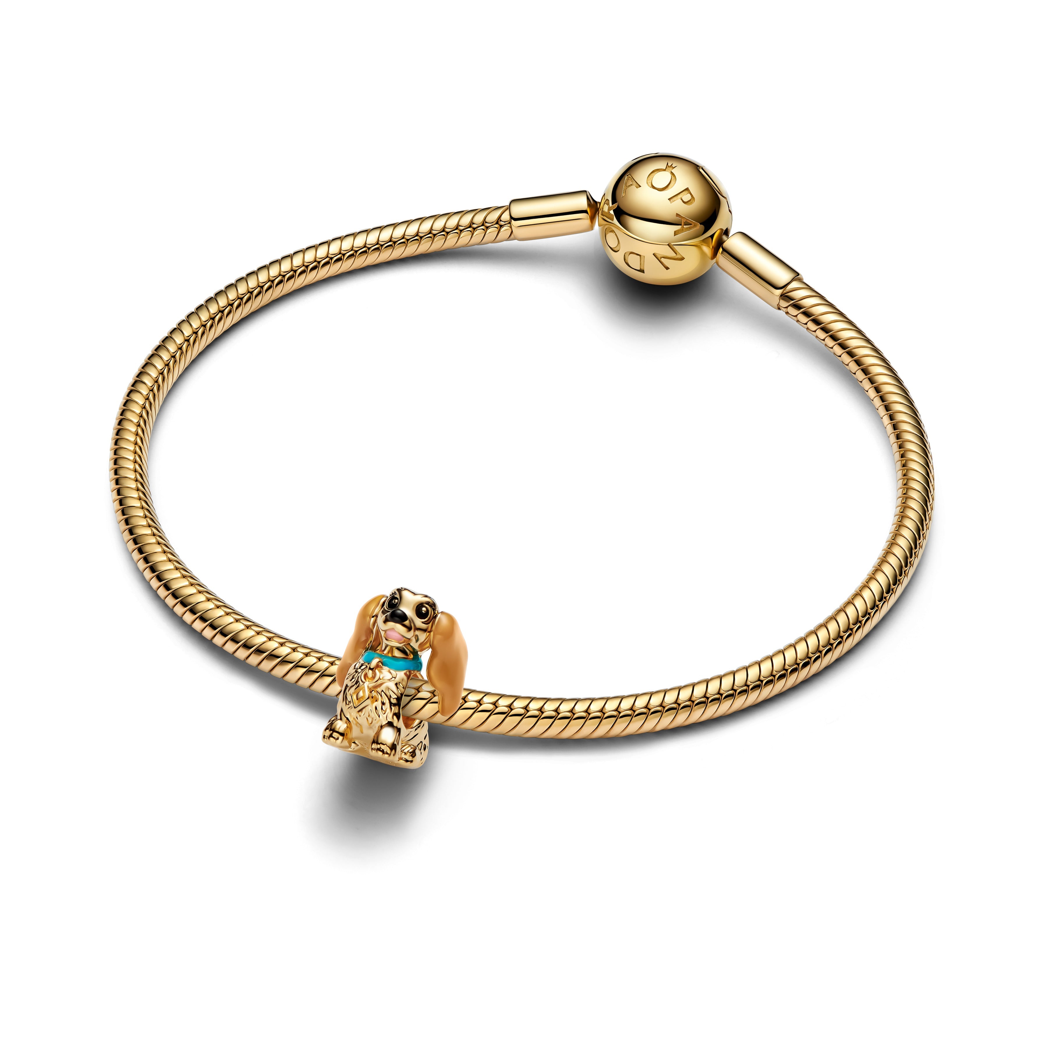 Disney Lady Charm