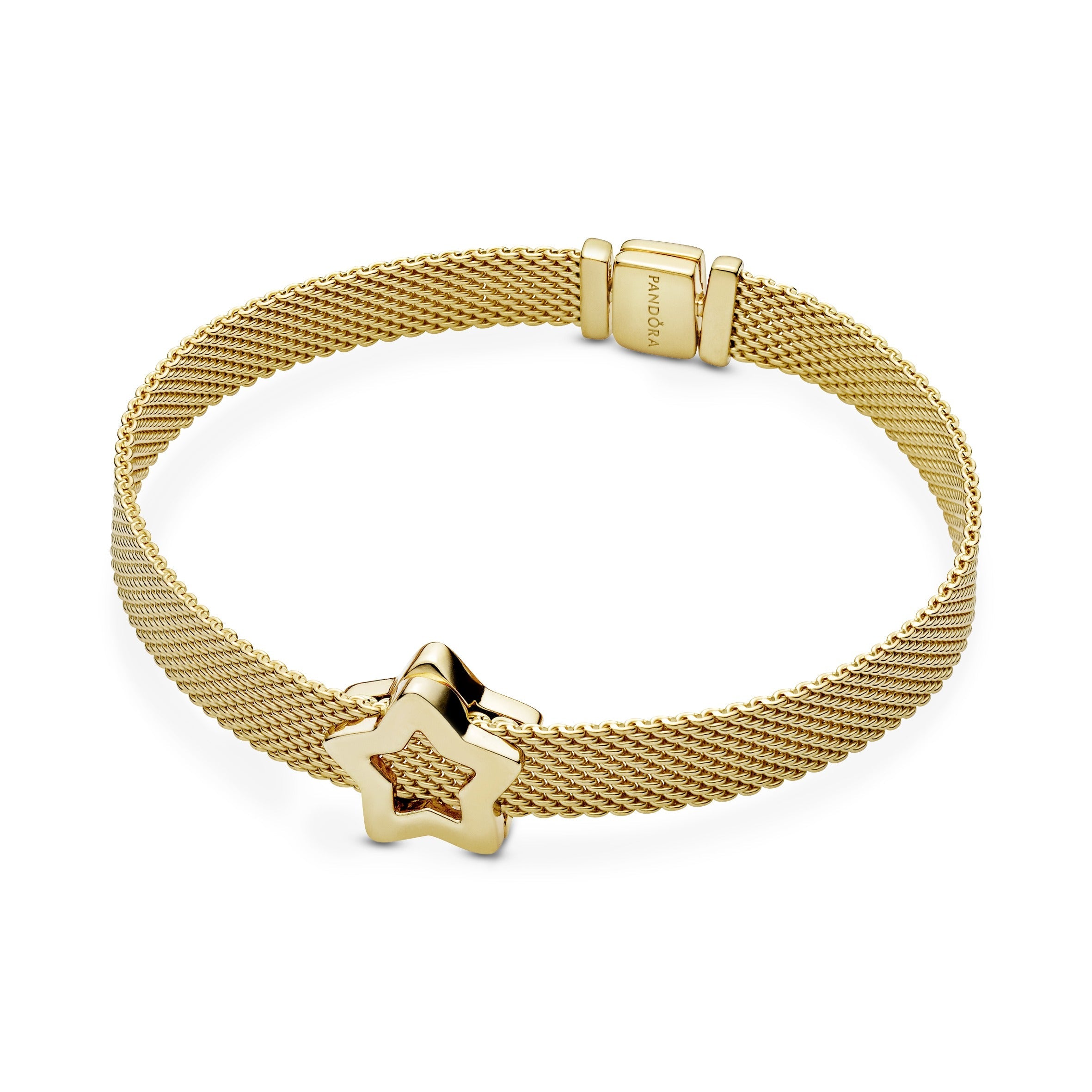 Star Clip Charm