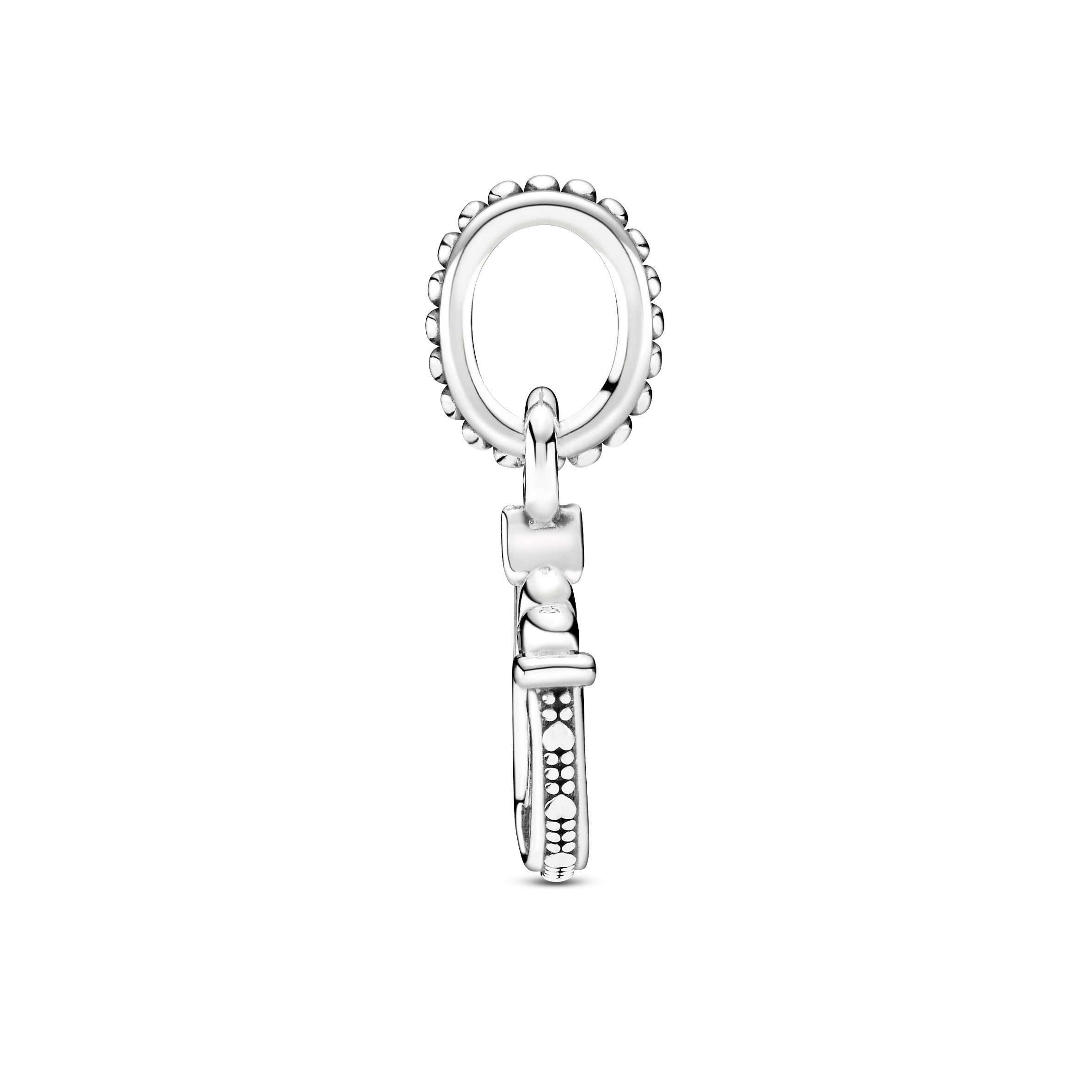 Good Luck Horseshoe Dangle Charm