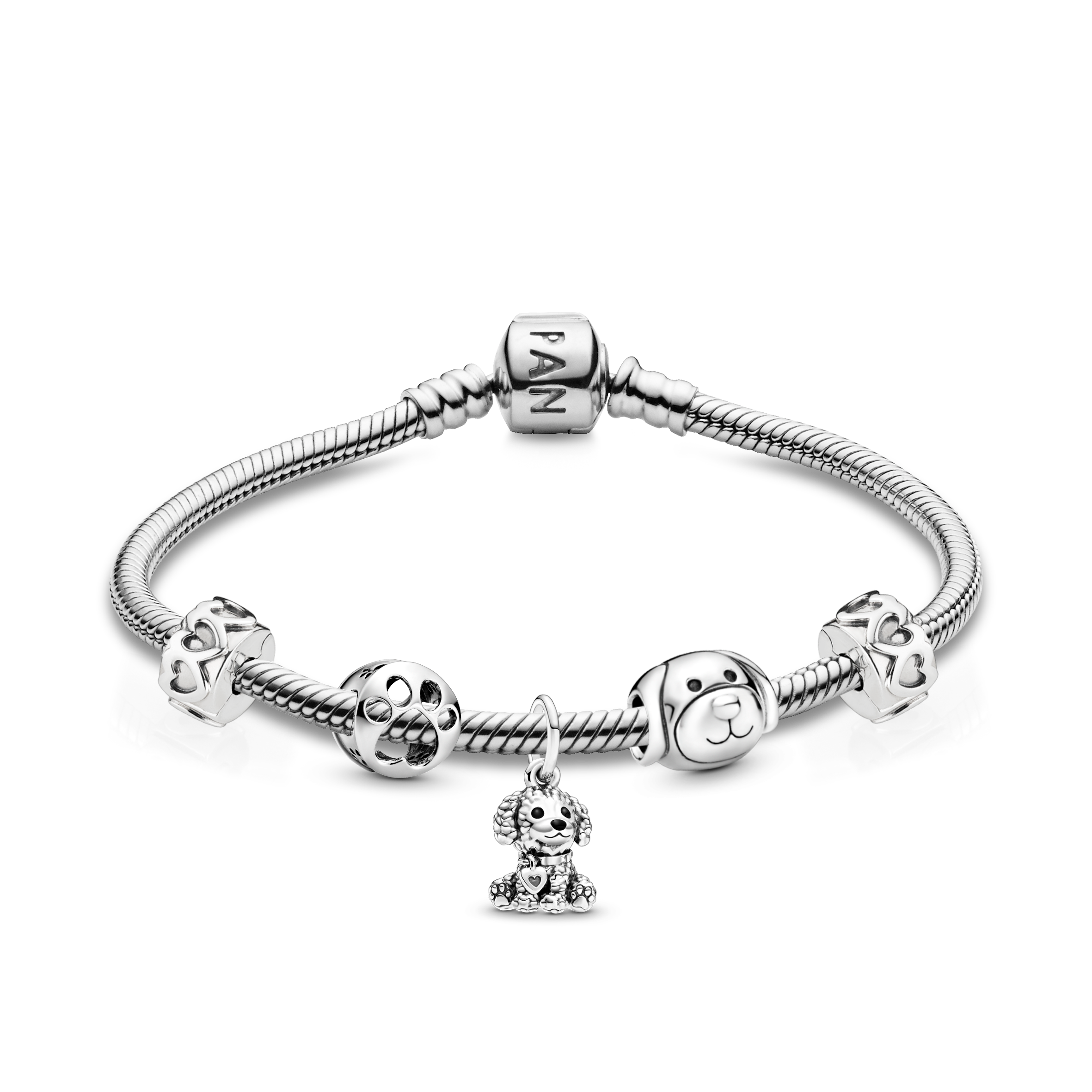 Pet Lover Bracelet and Charms Set